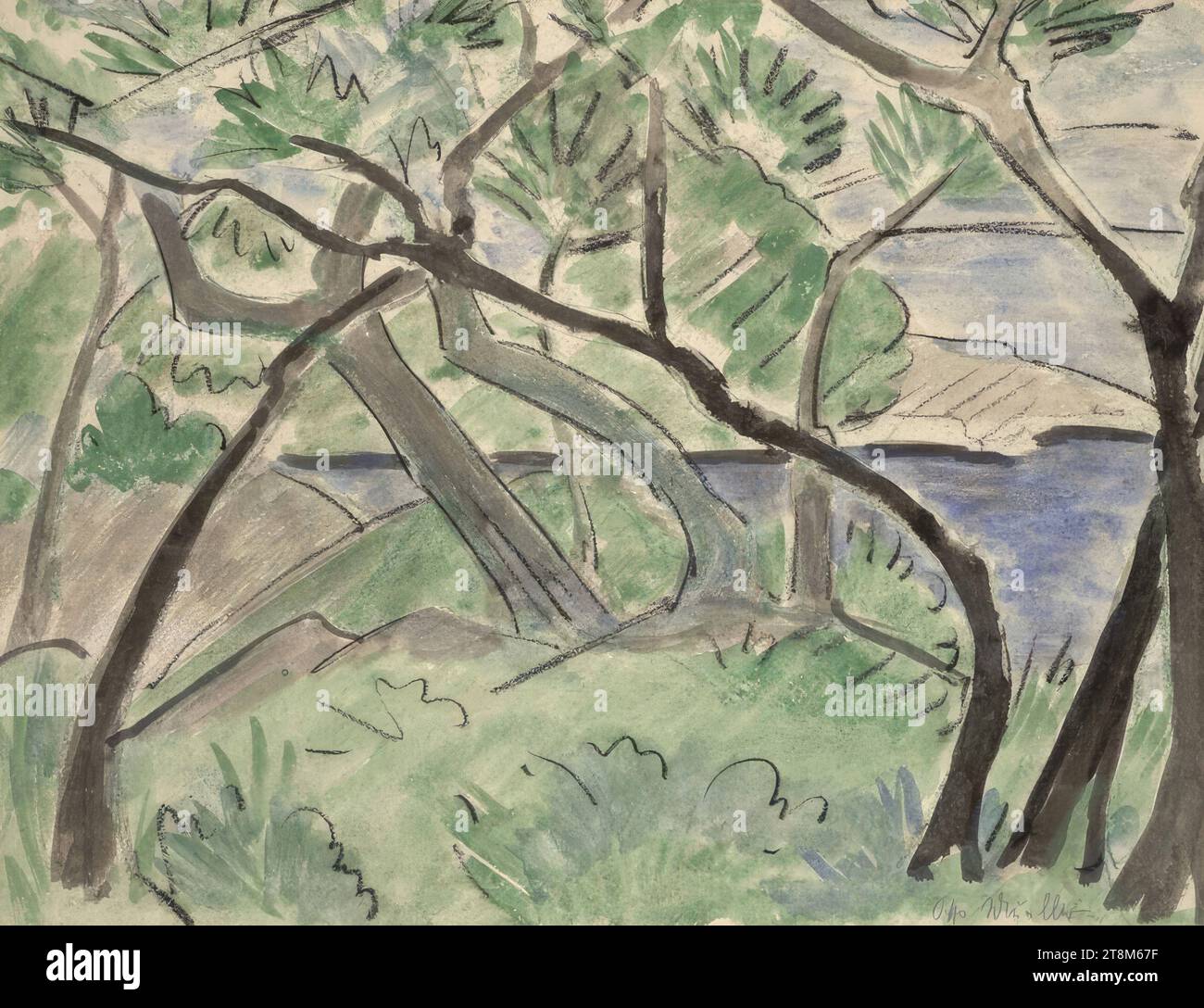 Paesaggio dalmata, otto Mueller (Liebau/Riesengebirge 1874 - 1930 Obernigk vicino Breslavia), 1924, disegno, carbone, matita blu, acquerello, 51,1 x 66,8 cm Foto Stock