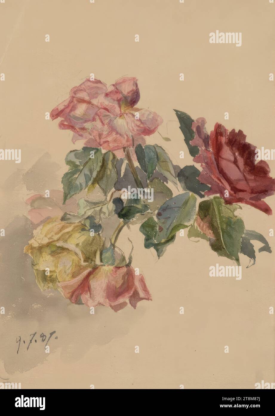 Quattro rose, Marie Lippert-Hoerner (Vienna 1860 - 1932 Vienna), 1887, disegno, disegno preliminare a matita, acquerello, 26,3 x 17,9 cm (10 3/8 x 7 1/16 pollici), l.l. '9.7.87 Foto Stock