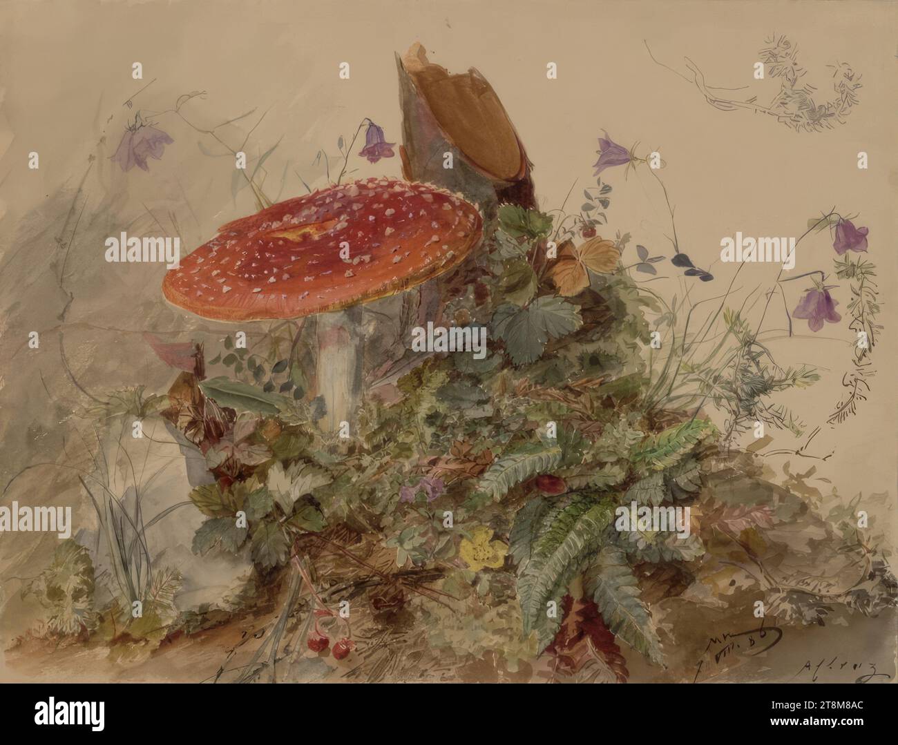 Agarico mosca, Marie Lippert-Hoerner (Vienna 1860 - 1932 Vienna), 1886, disegno, disegno preliminare a matita, 23,8 x 31,2 cm (9 3/8 x 12 5/16 pollici), r.l. 'MH, 7.VIII.86, Aflenz Foto Stock