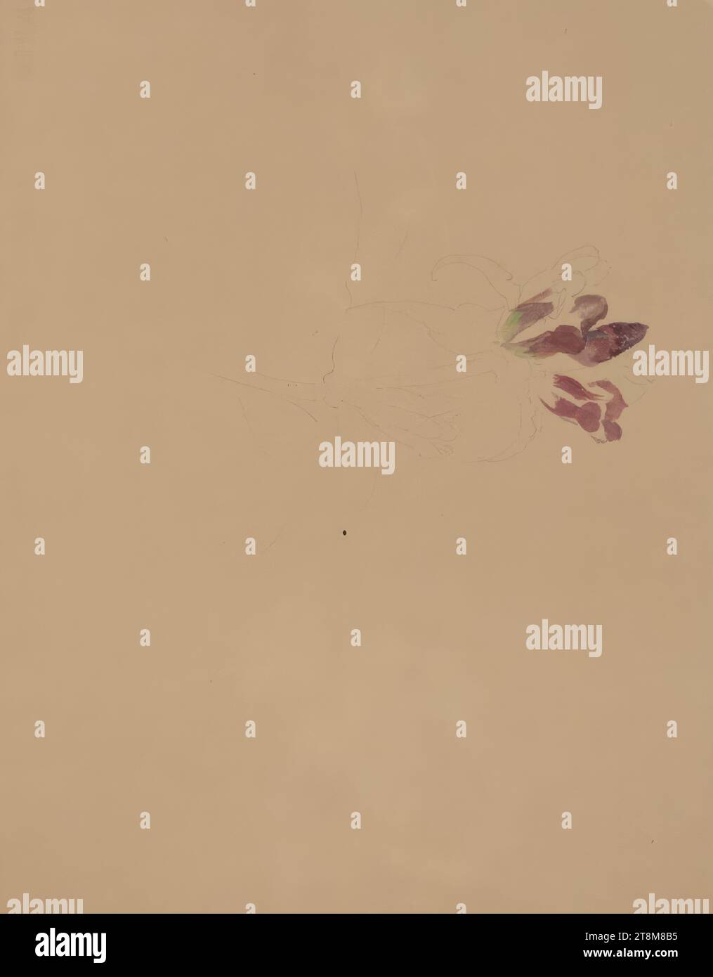 Pannoniano gentile, Marie Lippert-Hoerner (Vienna 1860–1932 Vienna), disegno, disegno preliminare a matita, acquerello, 31,3 x 23,7 cm (12 5/16 x 9 5/16 pollici Foto Stock