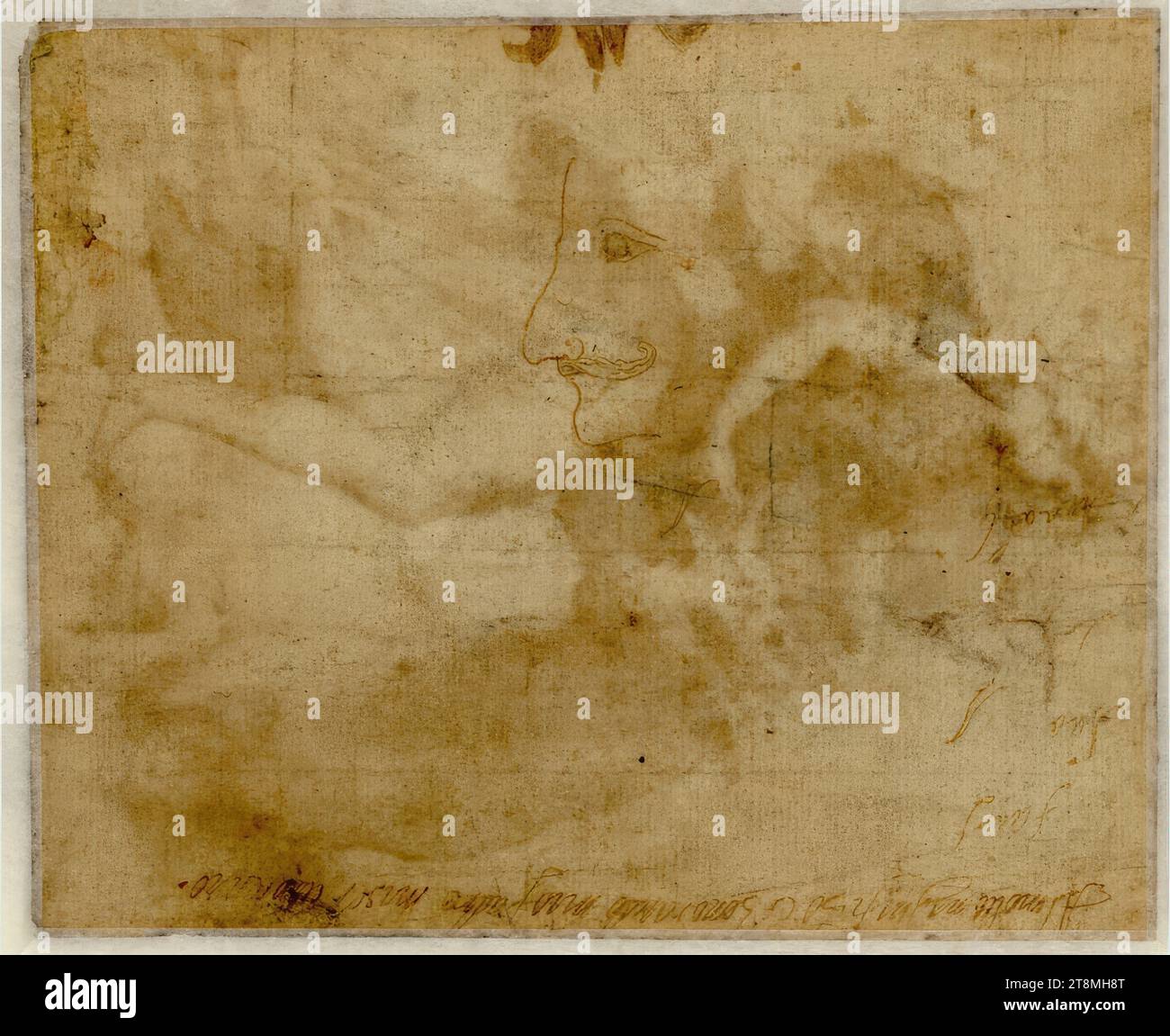 Caricatura di una testa di profilo maschile con baffi, anonimi, disegno, penna, 15,8 x 20,6 cm, in basso, capovolta, iscrizione a penna poco leggibile in un manoscritto della metà del XVI secolo 'al molto magnificho et honoratis[sim]o padre maser [coltello] vincenzo'; re. sopra di esso 'faun...', 'ano', 'anna Foto Stock