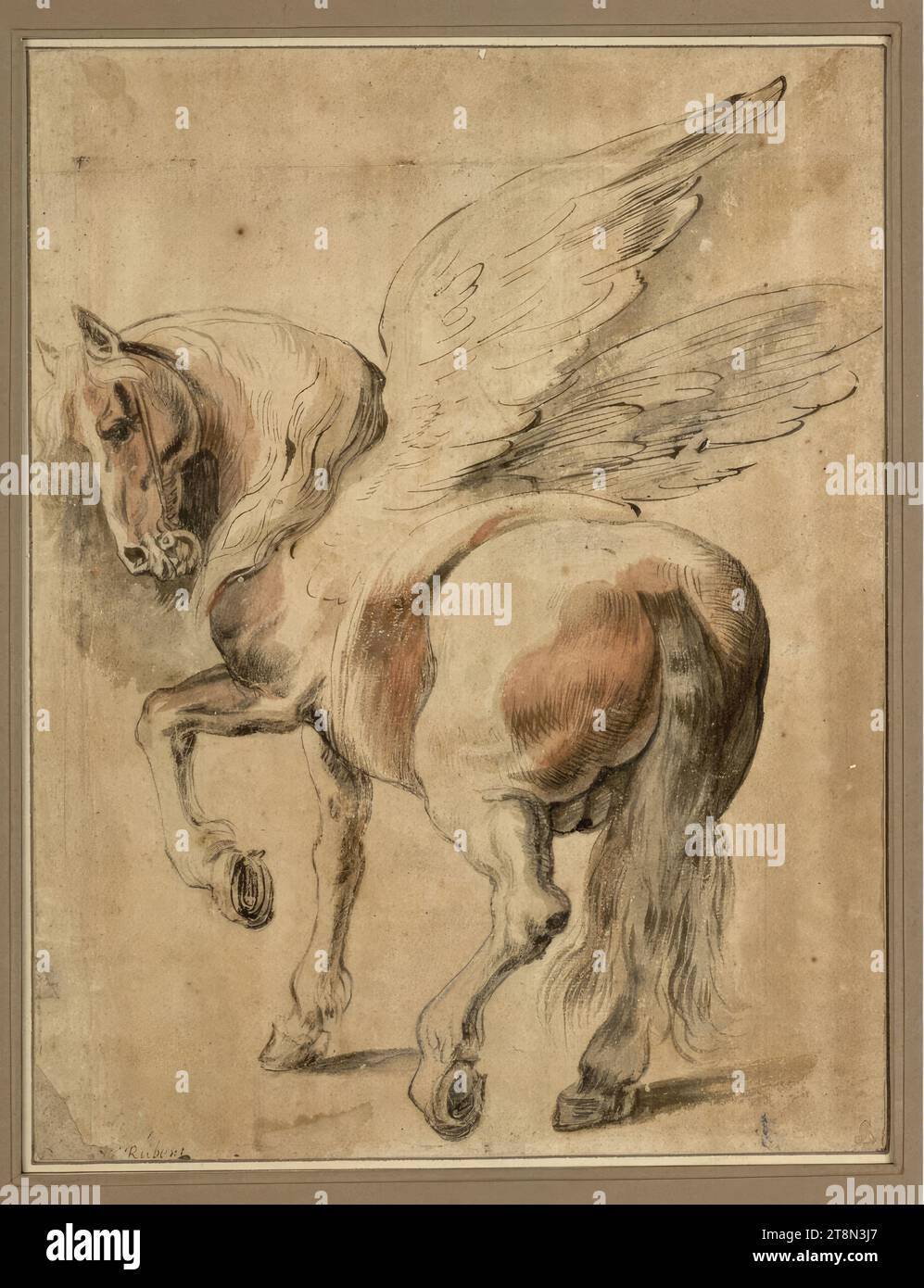 Pegasus, anonimo, disegno, gesso nero, penna e pennello in marrone, marrone, grigio e rosso lavaggio, 27,7 x 21,2 cm, r.l. duca Alberto di Sassonia-Teschen, l.u. 'Rubens' (con un'altra mano Foto Stock