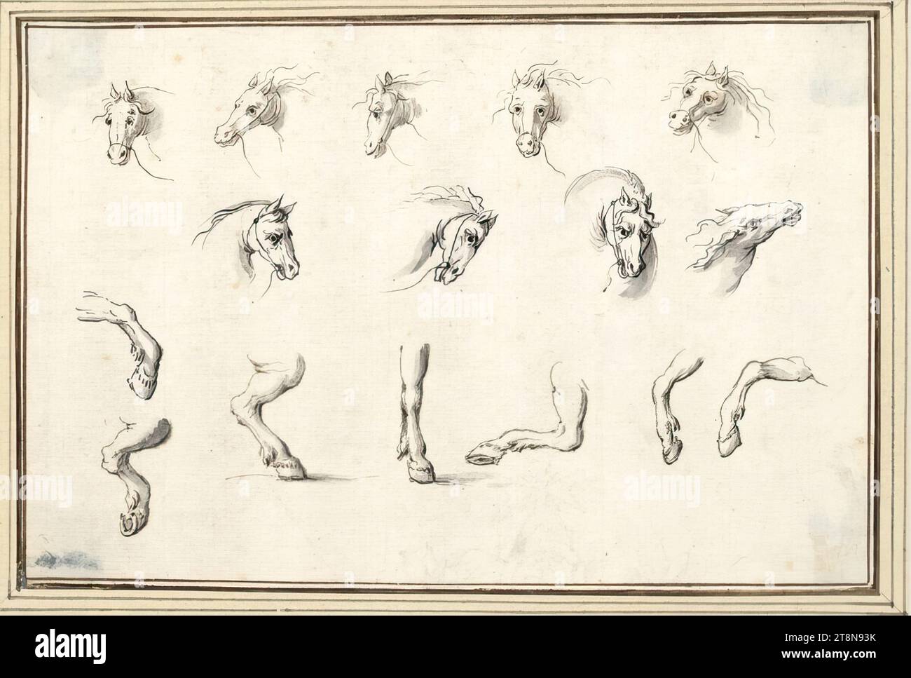 Foglio di studio con teste di cavalli e piedi di cavalli (V-24), "5e Livre de Dessin de AB Flamen" con 34 fogli, Albert Flamen (Bruges c. 1620 - dopo 1693 Parigi), disegno, penna e inchiostro grigio e marrone, lavaggio grigio; nell'angolo inferiore sinistro blu sporco dal retro., 10,9 x 16,4 cm, l. e duca Alberto di Sassonia-Teschen Foto Stock