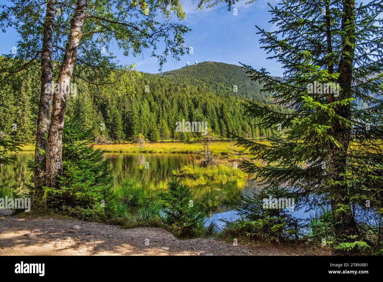 Riserva naturale Kleiner Arbersee con isole galleggianti e Grosser Arber 1456 m, Lohberg, Karsee, Foresta bavarese, alto Palatinato, Baviera, Germania Foto Stock