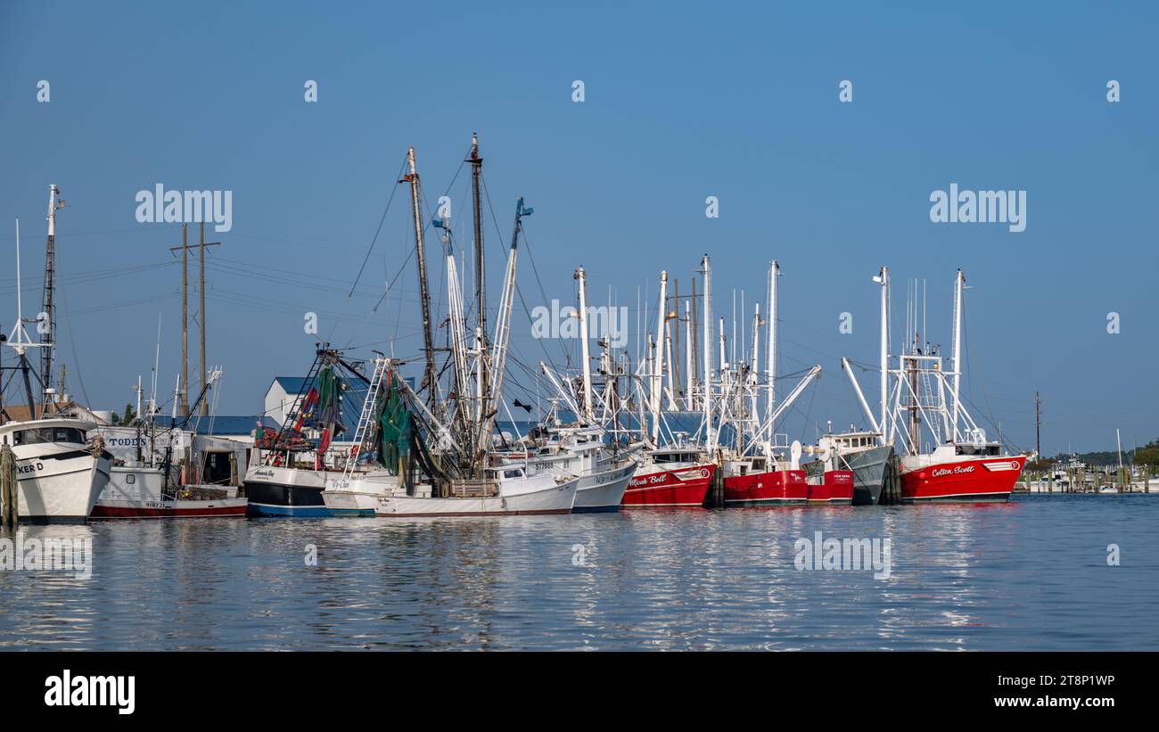 Una vista aerea di un vivace porto pieno di una vasta gamma di barche da pesca, che si tuffano nelle tranquille acque della baia Foto Stock