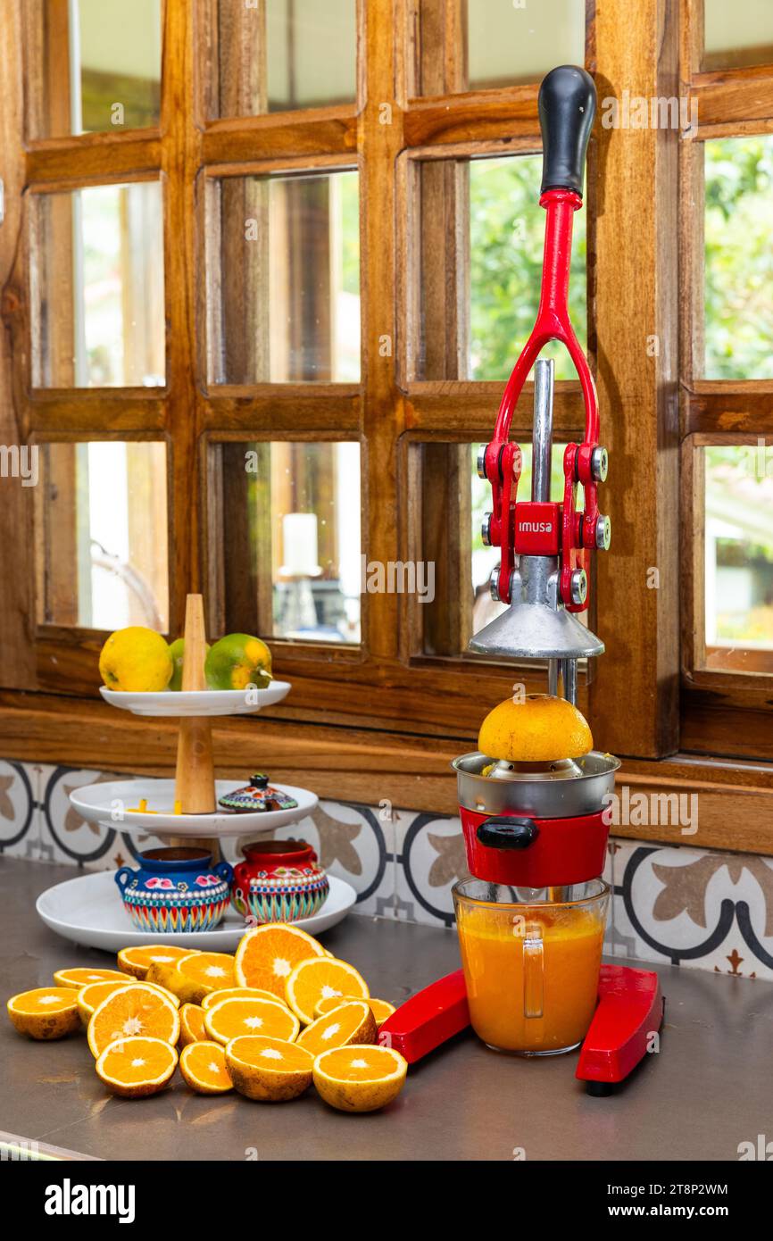 Centrifuga, arance (Citrus sinensis), Colombia Foto Stock