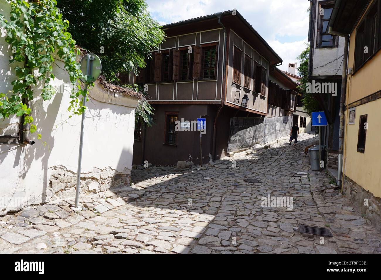 Plovdiv, situata sulle rive del fiume Maritsa nella storica regione della Tracia, è la seconda città più grande della Bulgaria. La sua crescita nel tempo è stata intricatamente legata alle sette colline sienite che occupa, un paio di queste raggiungono altezze impressionanti di 250 metri (820 piedi). Questa topografia unica ha conferito a Plovdiv il soprannome di "la città delle sette colline". Famosa come epicentro culturale in Bulgaria, Plovdiv ha ricoperto il titolo di capitale europea della cultura nel 2019 Foto Stock