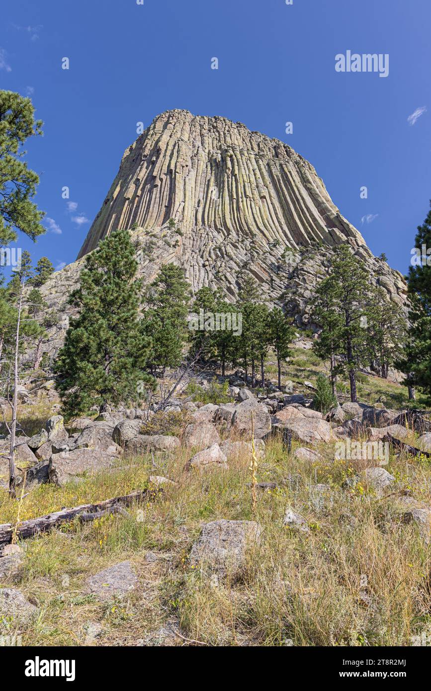 Devils Tower alla sua base sul sentiero intorno alla montagna Foto Stock