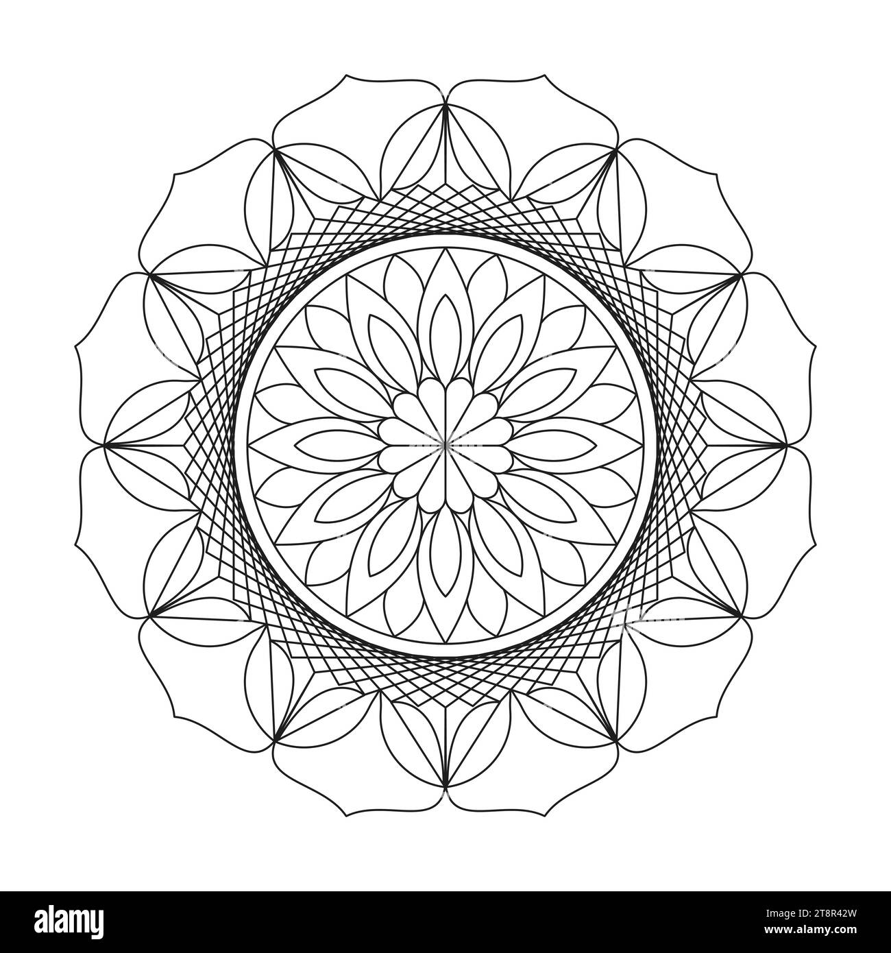 Specchia la pagina del libro da colorare Mandala per l'interno del libro KDP. Petali pacifici, capacità di rilassarsi, esperienze cerebrali, paradiso armonioso, ritratti pacifici, Illustrazione Vettoriale