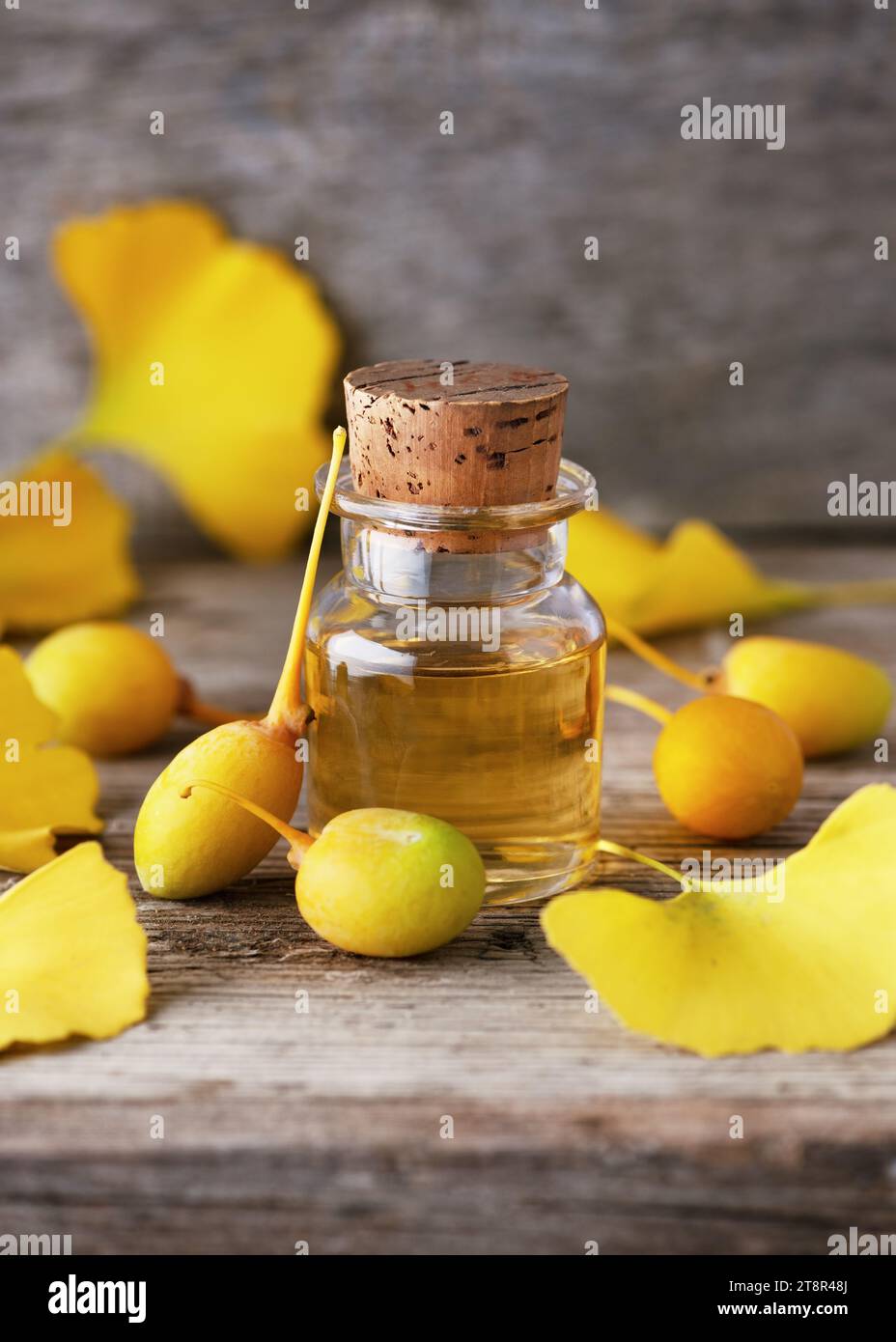 L'agente terapeutico in un piccolo bicchiere. Proprietà curative di semi e foglie di ginkgo biloba in erboristeria. Popolare integratore nutrizionale. Foto Stock