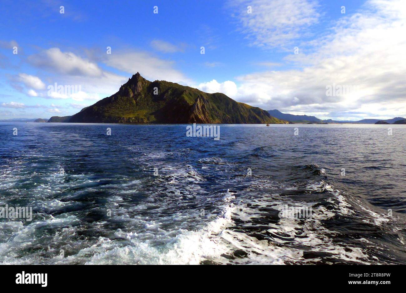 Whangarei Heads. Northland NZ, Whangarei Heads è una località e promontorio sul lato settentrionale del porto di Whangarei nel Northland, nuova Zelanda. Whangarei si trova a 29 km a nord-ovest, e Ocean Beach a 8 km a sud-est, con Taurikura tra i due Foto Stock