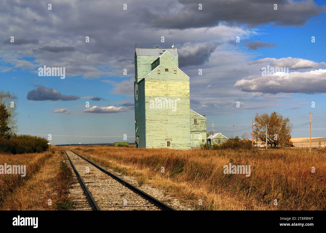 Elevatore granella. Herronton, Alberta, Herronton si trova 7 km a ovest di Mossleigh sull'autostrada 24 e secondaria 547 e 10 km a sud sulla Range Road 25-5. È l'ultimo dei 5 ascensori, e si trova sulla CP line che va da Eltham Junction a Mossleigh Foto Stock