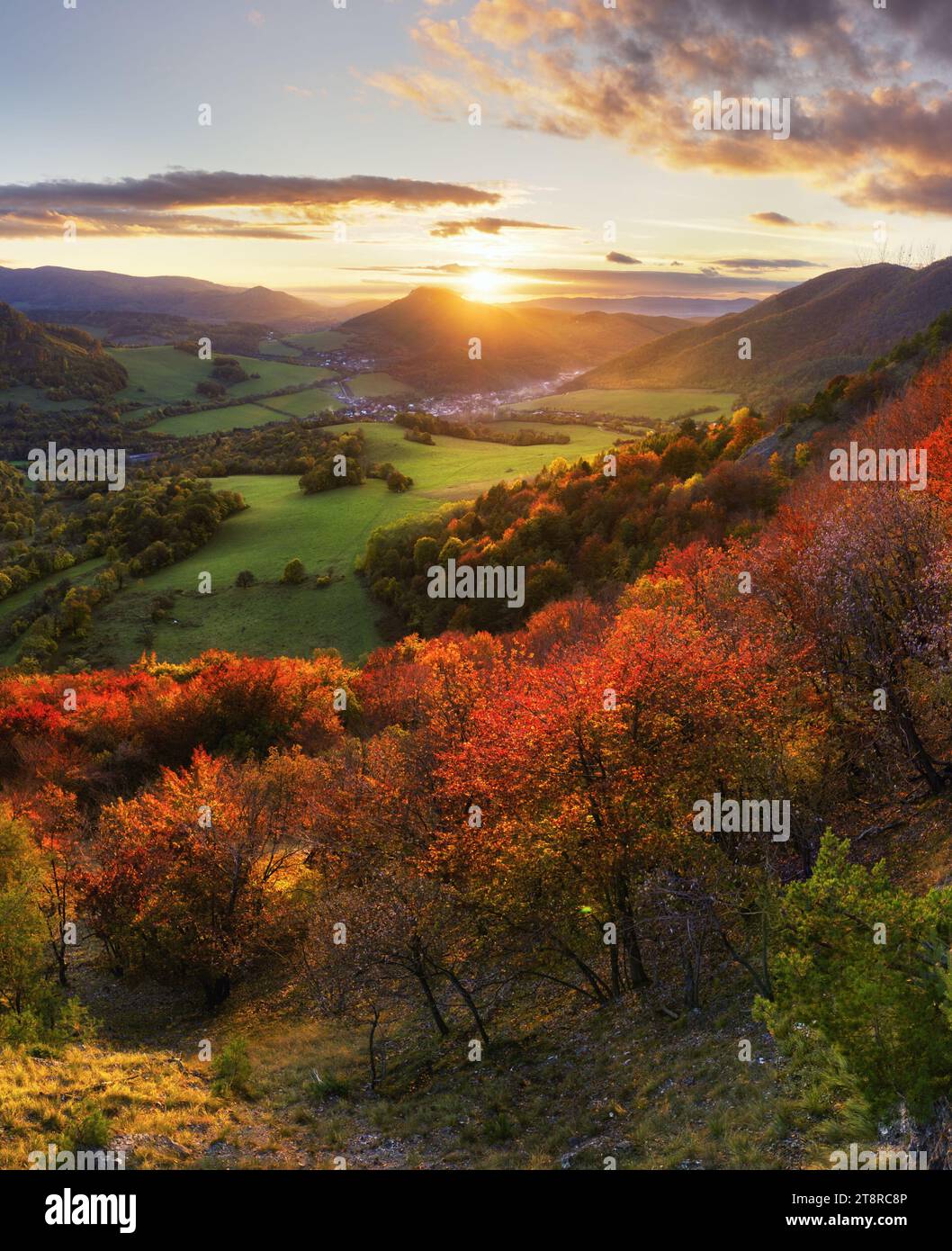 Magnifico giorno d'autunno colorato nel parco, molti alberi sulle colline arancioni. Foto Stock