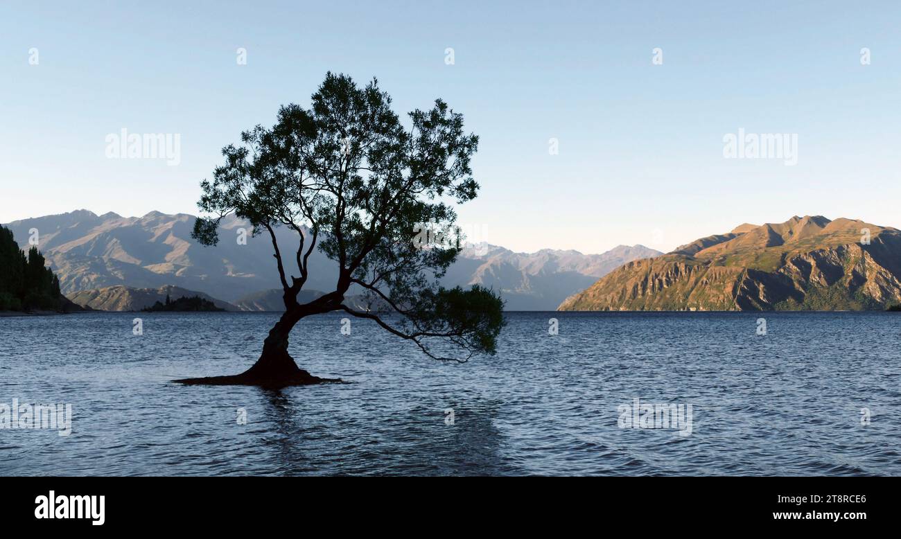 The Tree Lake Wanaka. Nuova Zelanda, Una gemma nascosta della nuova Zelanda, la spettacolare area del lago Wanaka è incorniciata dalle scintillanti Alpi meridionali delle Isole Sud. Alle porte del Parco Nazionale del Monte Aspiring, sito Patrimonio dell'Umanità, il programma giornaliero include l'esplorazione di vette alpine, cascate ruggenti, immensi ghiacciai e lussureggianti foreste pluviali. Ritiratevi in villaggi alla moda, i cui locali eclettici e amichevoli sono ansiosi di condividere i loro consigli preferiti con i visitatori. Assicurati di informarti sulla posizione del famoso (e molto fotogenico) Lone Tree del lago Wanaka Foto Stock