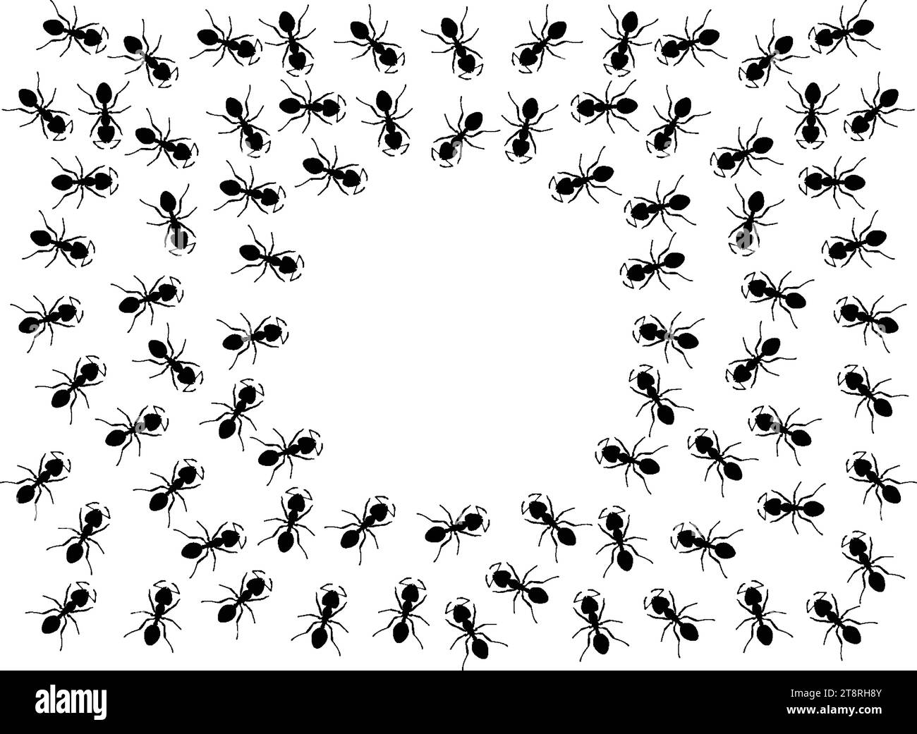 Insetti insetti formiche Insect banner pismire emmet icone vettoriali segni divertenti Una linea di lavoratori formiche che marciano per la ricerca banner silhouette lo Illustrazione Vettoriale