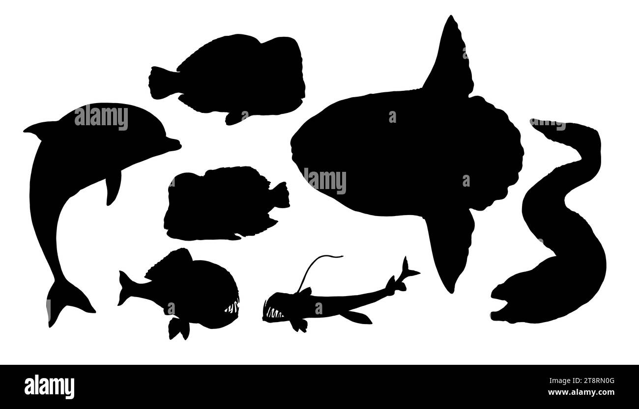 Ambientato con sagome di pesci: Pesci pappagallo, murene, pesci solari, delfini e pesci rana. Illustrazione disegnata a mano per tagliare e incollare. Foto Stock