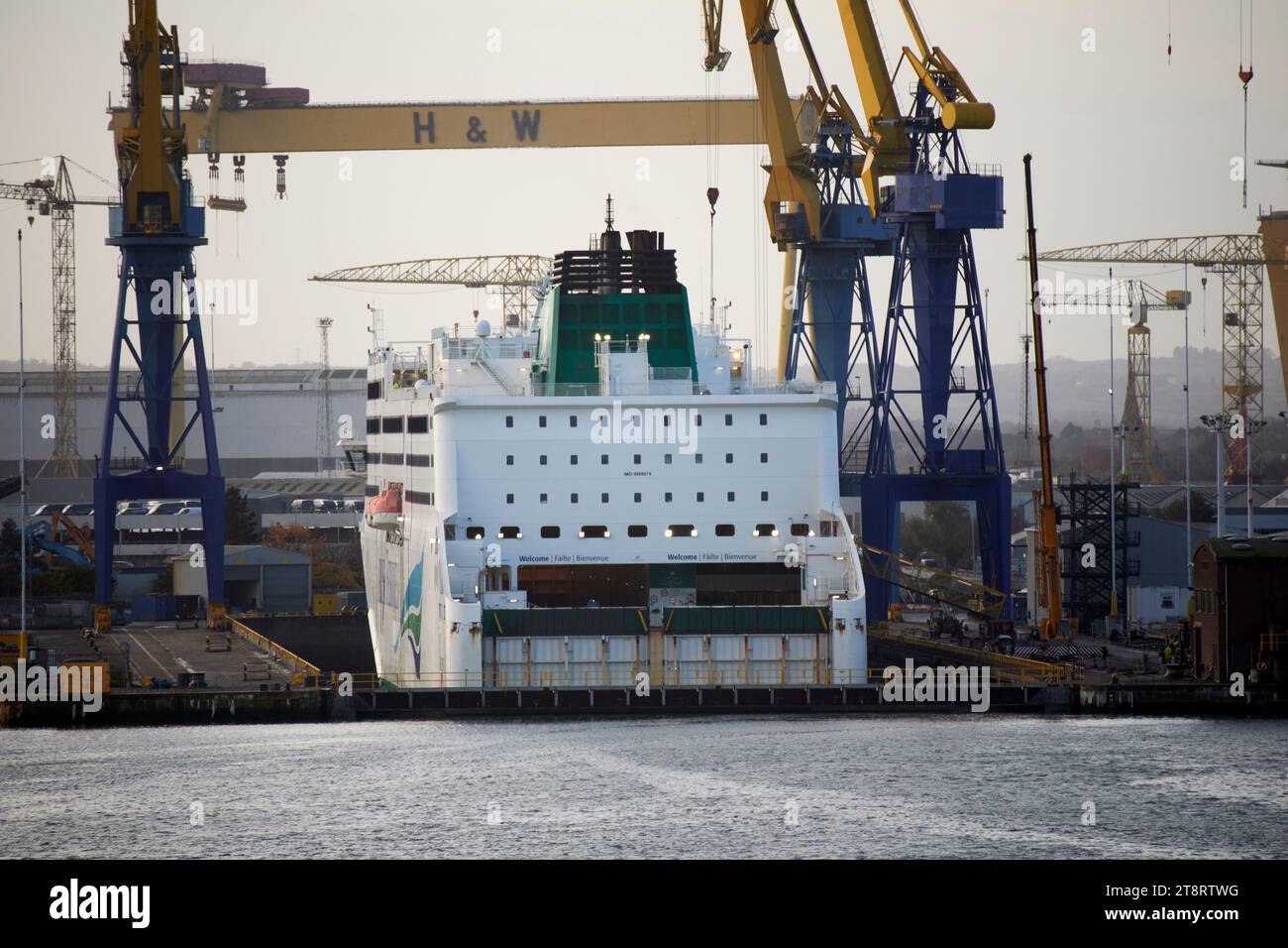 traghetti irlandesi wb yeats traghetto passeggeri in bacino di carenaggio a harland e wolff belfast harbour, belfast, irlanda del nord, regno unito Foto Stock