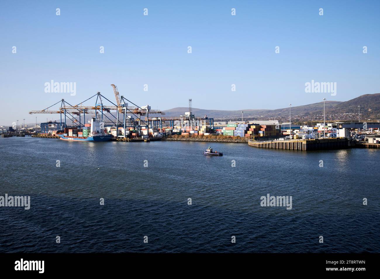 porto container porto di belfast, belfast, irlanda del nord, regno unito Foto Stock