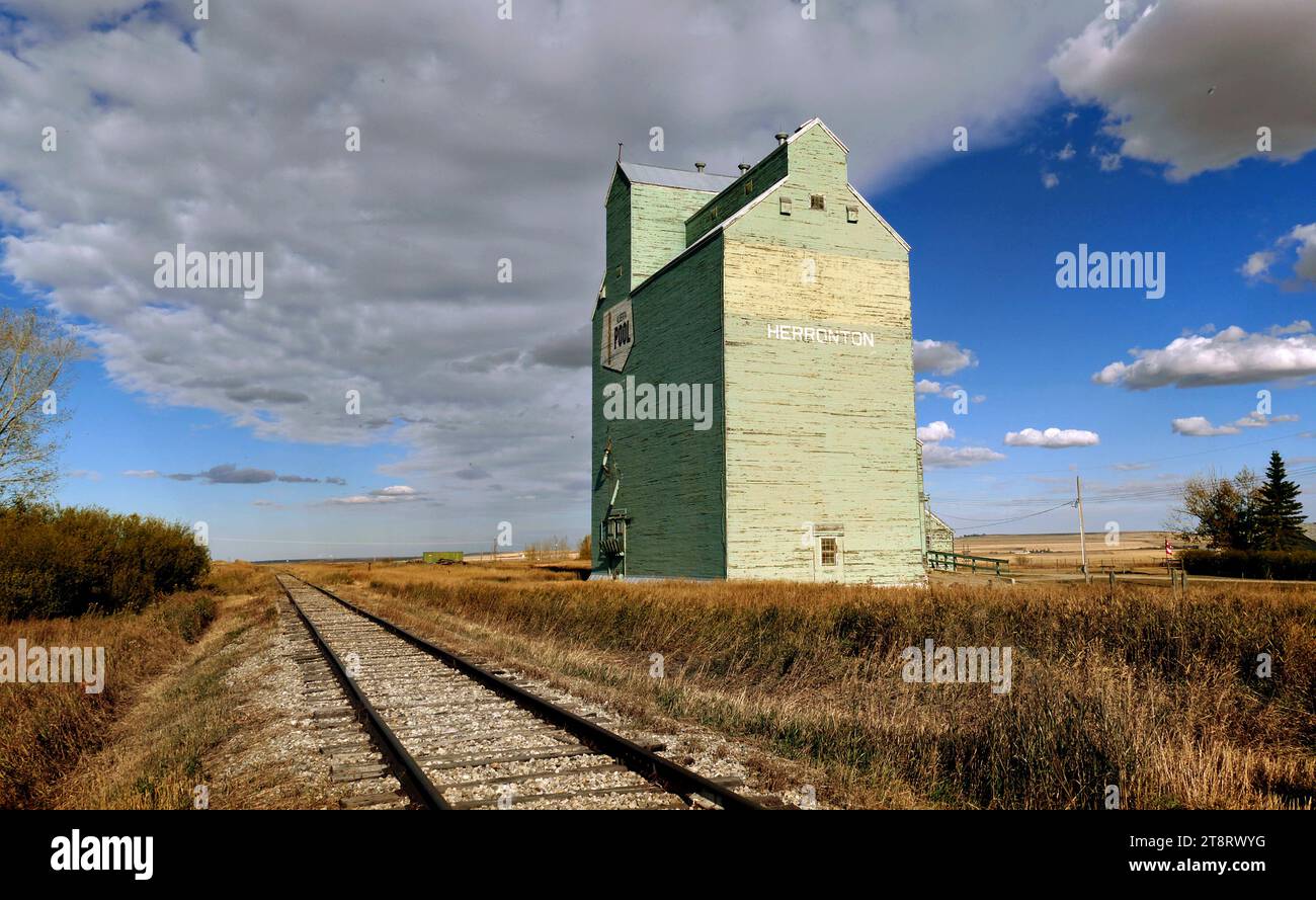 Elevatore granella. Herronton, Alberta, Herronton si trova 7 km a ovest di Mossleigh sull'autostrada 24 e secondaria 547 e 10 km a sud sulla Range Road 25-5. È l'ultimo dei 5 ascensori, e si trova sulla CP line che va da Eltham Junction a Mossleigh Foto Stock