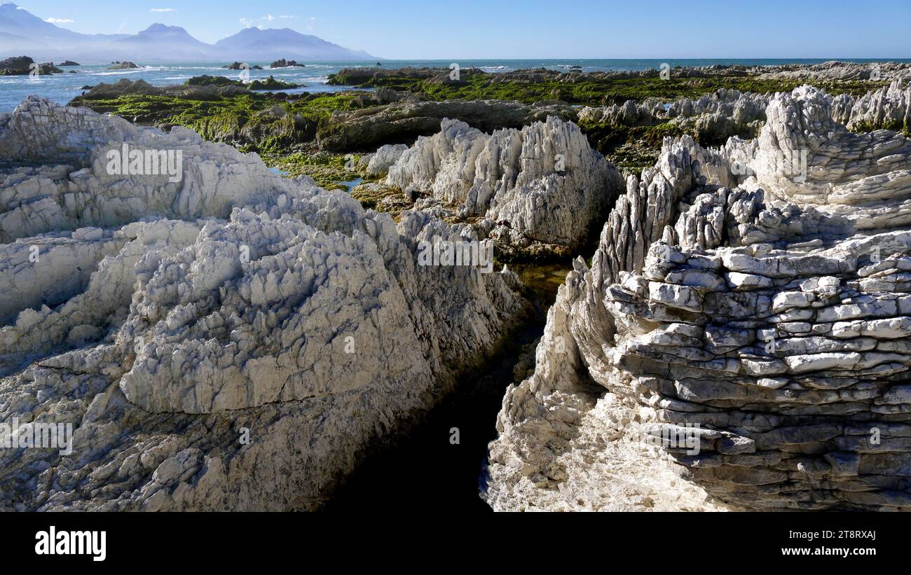 Costa Kaikoura. Nuova Zelanda, rocce calcaree verticali piegate inclinate dell'Oligocene sulla costa di Kaikoura South Island nuova Zelanda Foto Stock