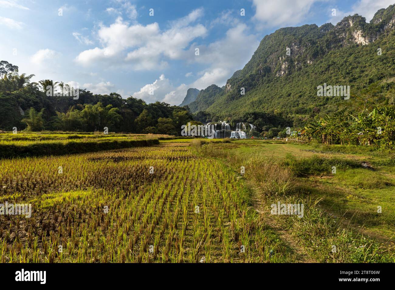 La cascata Ban Gioc Detian tra Cina e Vietnam Foto Stock