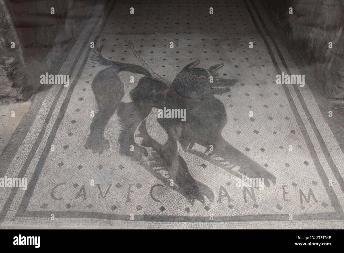 Rovine di Pompei: Cane a mosaico nella Casa del tragico poeta, resti della città romana sepolta dall'eruzione del Monte Vesuvio nel 79 d.C. e scavato in tempi moderni, Italia Foto Stock