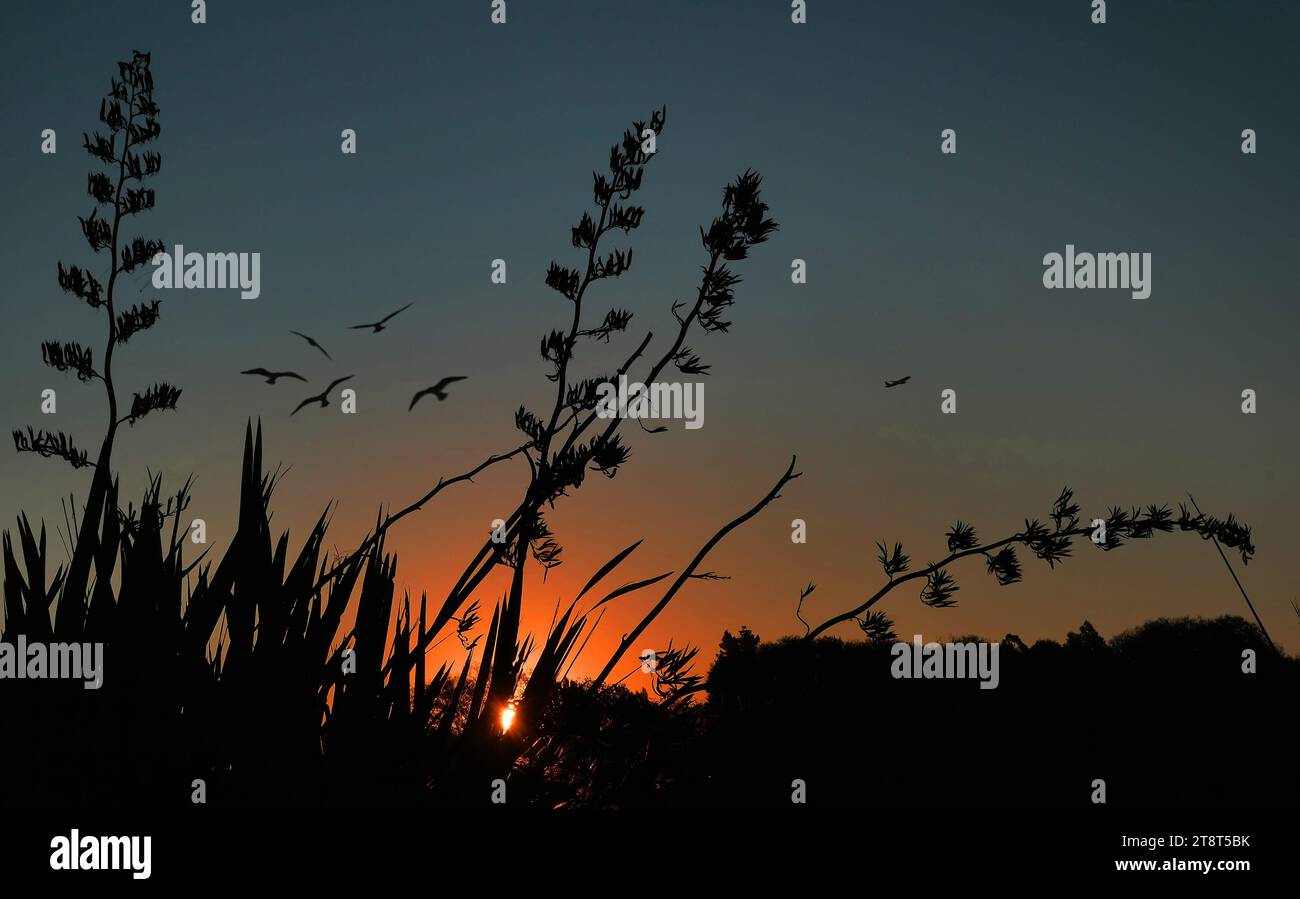 Sunset Glow, Sunset, noto anche come Sundown, è la scomparsa quotidiana del Sole sotto l'orizzonte a causa della rotazione della Terra. Visto dall'Equatore, il Sole equinozio tramonta esattamente verso ovest sia in primavera che in autunno Foto Stock