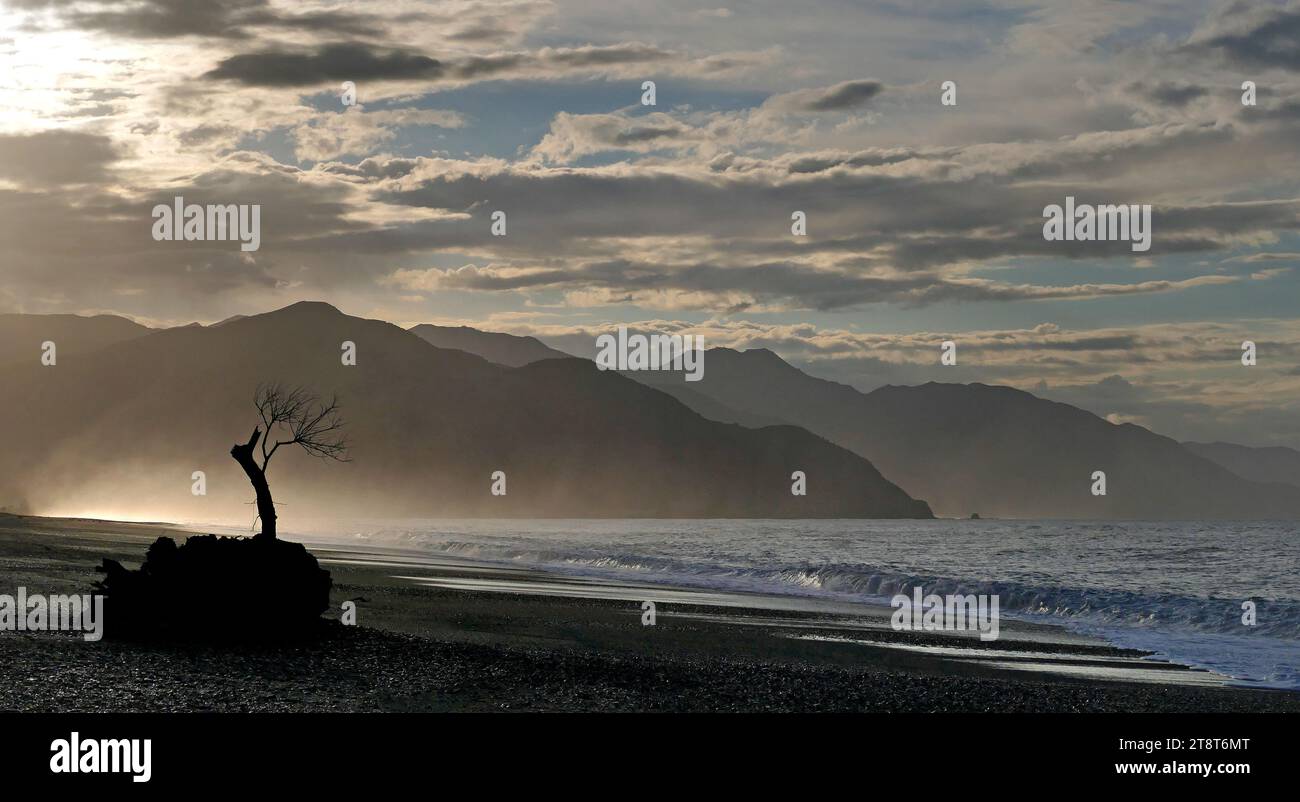 Una costa frastagliata, pochi luoghi al mondo possono vantare meraviglie naturali come quelle offerte a Kaikōura. Il suggestivo paesaggio di una città tra le catene montuose di Kaikōura e l'Oceano Pacifico meridionale ne fanno una destinazione per tutto l'anno Foto Stock
