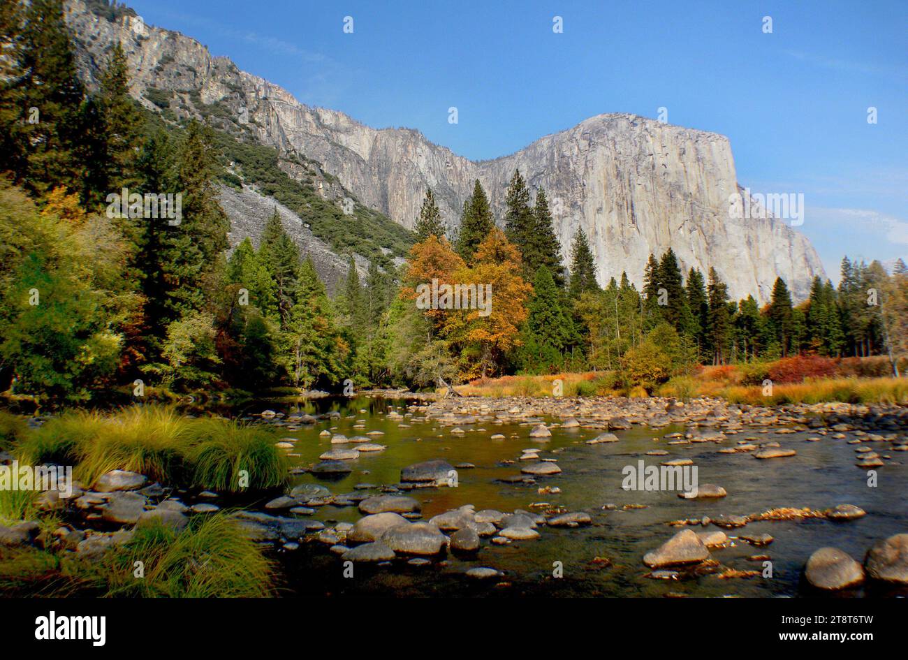 Yosemite National Park, Yosemite National Park si trova nelle montagne della Sierra Nevada californias. E' famoso per i suoi giganteschi alberi di sequoia e per la vista del Tunnel, l'iconica vista delle torreggianti cascate di Bridalveil e le scogliere di granito di El Capitan e Half Dome Foto Stock