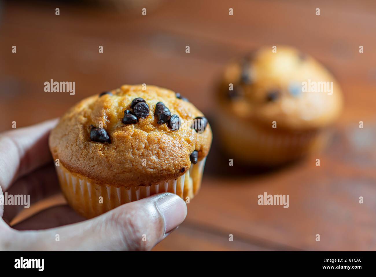 mini cupcake su un piatto di legno Foto Stock