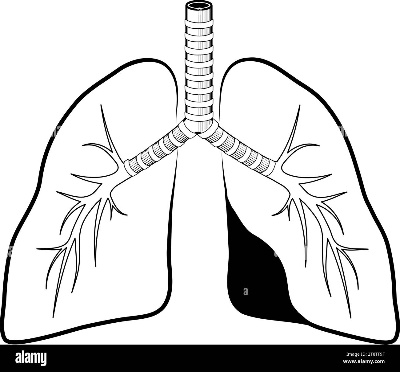 Icona della linea nera dei polmoni umani. Stile semplice. Pittogramma stilizzato per Web design o app mobili. Illustrazione vettoriale. simbolo linea piatta. Illustrazione Vettoriale