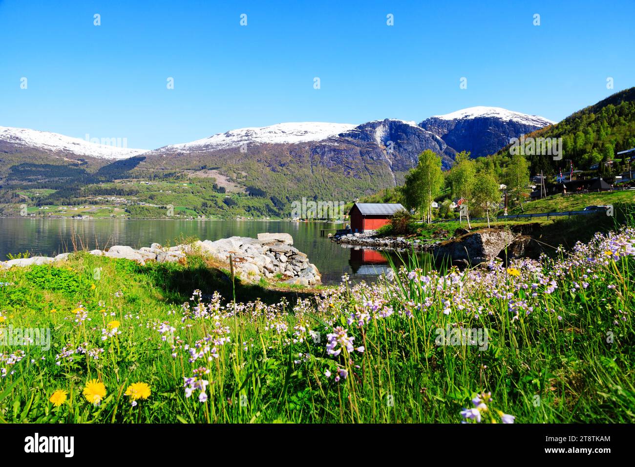 Fiordo norvegese Nordfjorden e montagne con capanna rossa e fiori selvatici. Vecchio, Norvegia Foto Stock