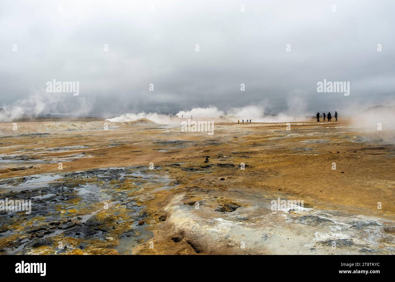 Area geotermica di Hverir, Islanda. Hverir è un'area geotermale ai piedi di Namafjall, non lontano dal lago Myvatn Foto Stock