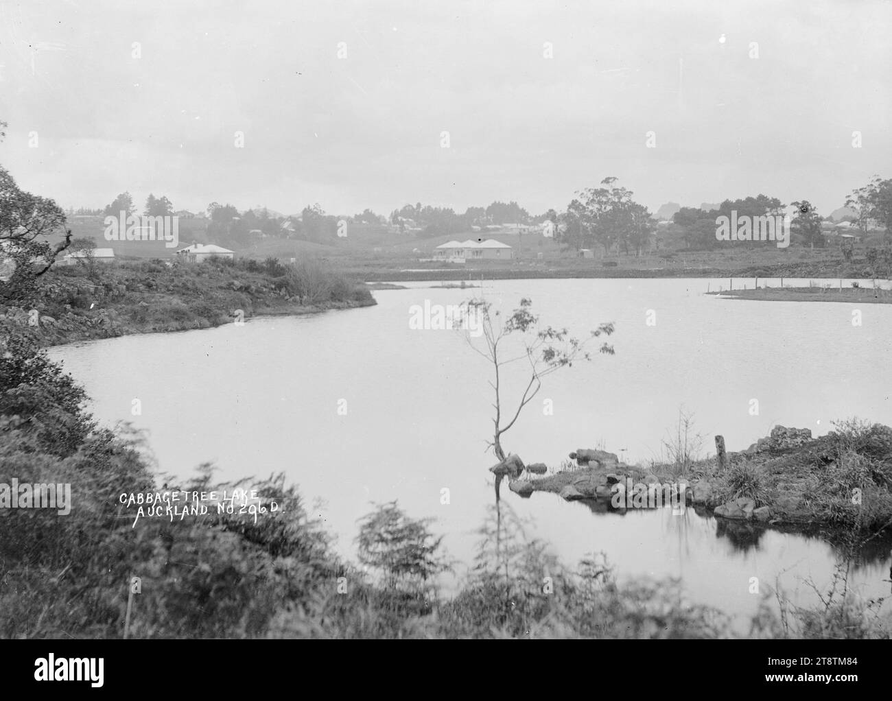 Veduta del Lago Cabbage Tree, Auckland, nuova Zelanda, veduta di un piccolo lago con diverse case visibili sul lato opposto nei primi anni '1900 Foto Stock