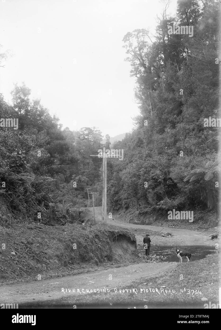 Attraversamento del fiume, strada a motore di Opotiki, Bay of Plenty, uomo in piedi sulle rocce che tenta di attraversare un guado su una strada nelle vicinanze di Opotiki. Un cane lo sta osservando nei primi anni '1900 Foto Stock Attraversamento del fiume, strada a motore di Opotiki, Bay of Plenty, uomo in piedi sulle rocce che tenta di attraversare un guado su una strada nelle vicinanze di Opotiki. Un cane lo sta osservando nei primi anni '1900 Foto Stock