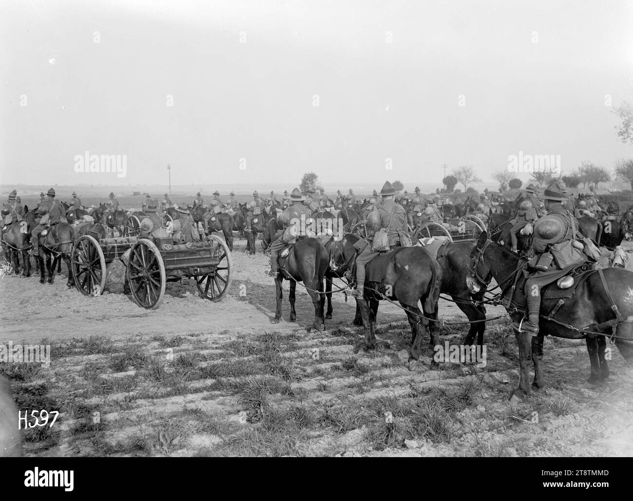 Trasporto di artiglieria in attesa di ispezione, Bus-les-Artois, il trasporto di una batteria di artiglieria da campo neozelandese in attesa di ispezione da parte del General Officer Commanding durante la prima guerra mondiale Vista da dietro la batteria assemblata. Fotografia scattata il 21 maggio 1918 Foto Stock