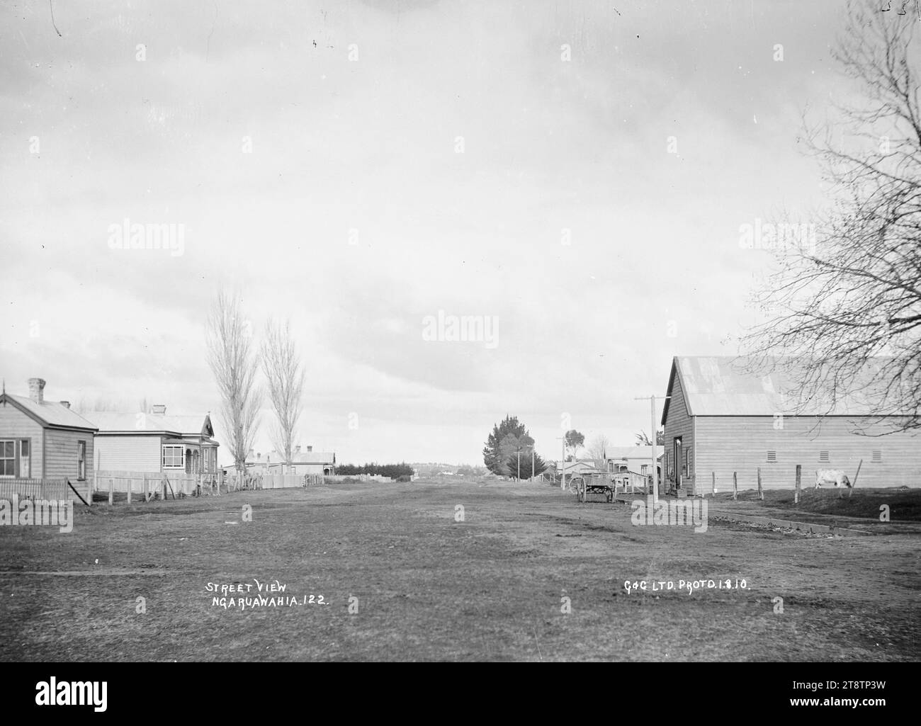 Vista sulla strada a Ngaruawahia, nuova Zelanda, 1910 -, Vista lungo una strada larga a Ngaruawahia, nuova Zelanda con un grande edificio sulla destra e una fila di case sulla sinistra. (Probabilmente Green & Colebrook, mercanti, con una filiale a Ngaruawahia, nuova Zelanda Foto Stock