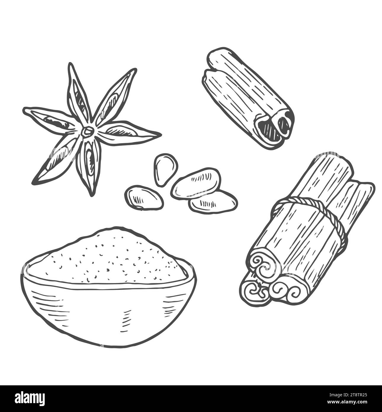 Illustrazione vettoriale di un formato quadrato. Spezie. Per menu, caffetterie, cartoline, stampa. Bastoncini di cannella, anice stellato, chiodi di garofano. Lineart su un ba bianco Illustrazione Vettoriale