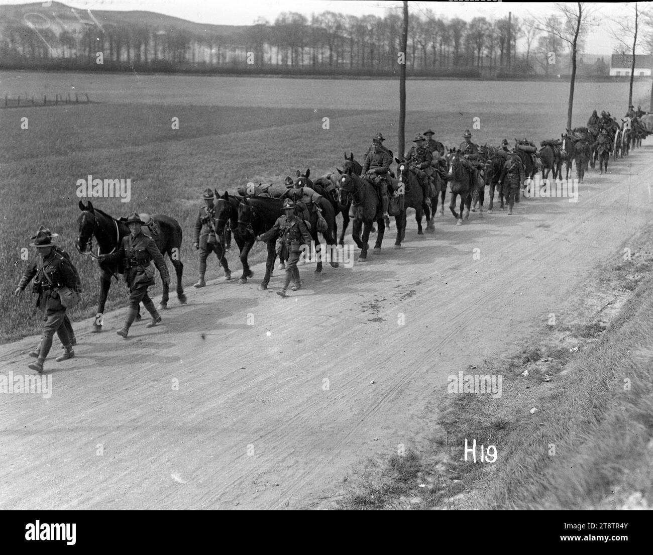 Alcuni artiglieri neozelandesi nella marcia, colonna della 2nd Artillery Brigade nella marcia vicino al fronte occidentale. Foto scattata nel 1917 Foto Stock