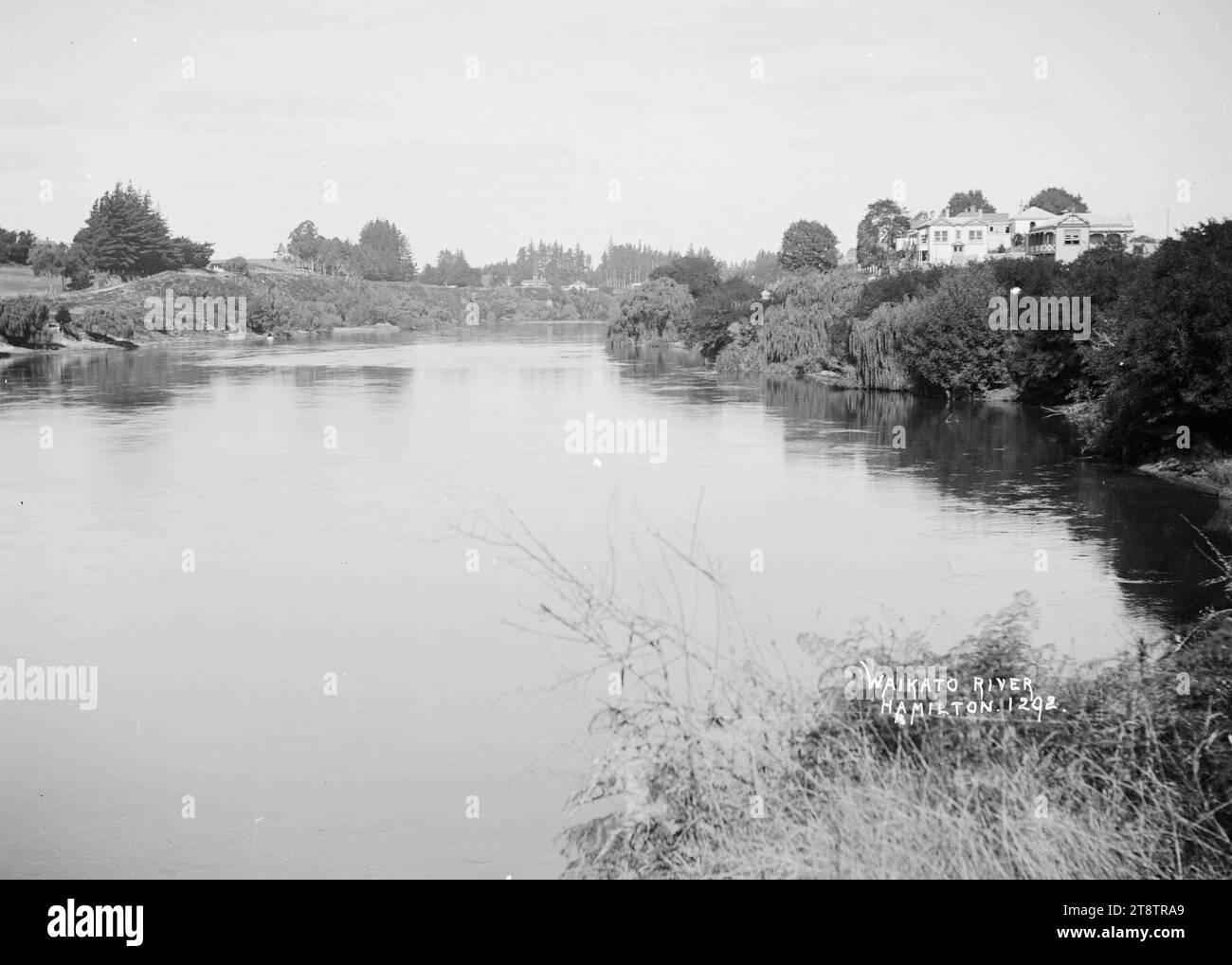 Waikato River a Hamilton, circa 1905-1910, Vista del fiume Waikato a Hamilton. Diverse case sono visibili sopra le rive del fiume Foto Stock