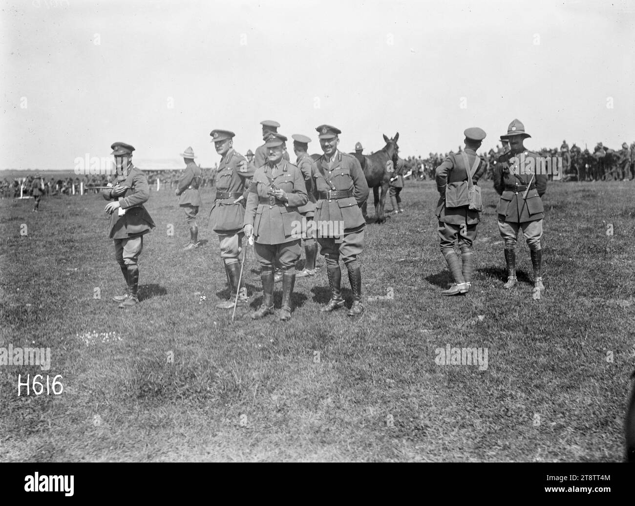 Ufficiali che assistono a un evento al New Zealand Infantry Brigade Horse Show, Francia, ufficiali neozelandesi che guardano la steeplechase dei muli al NZ Infantry Brigade Horse Show, Vaucelles, Francia, durante la prima guerra mondiale Fotografia scattata il 20 maggio 1918 Foto Stock