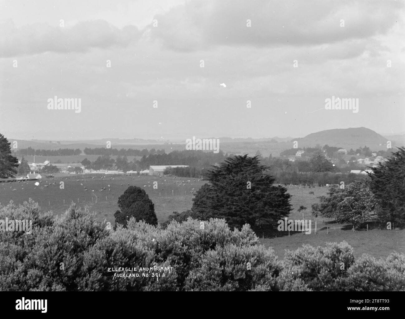 Vista di Ellerslie e Mount Smart verso est, vista sui paddock con l'Ellerslie Race Course sulla sinistra e Mount Smart in lontananza sulla destra. all'inizio degli anni '1900 Foto Stock