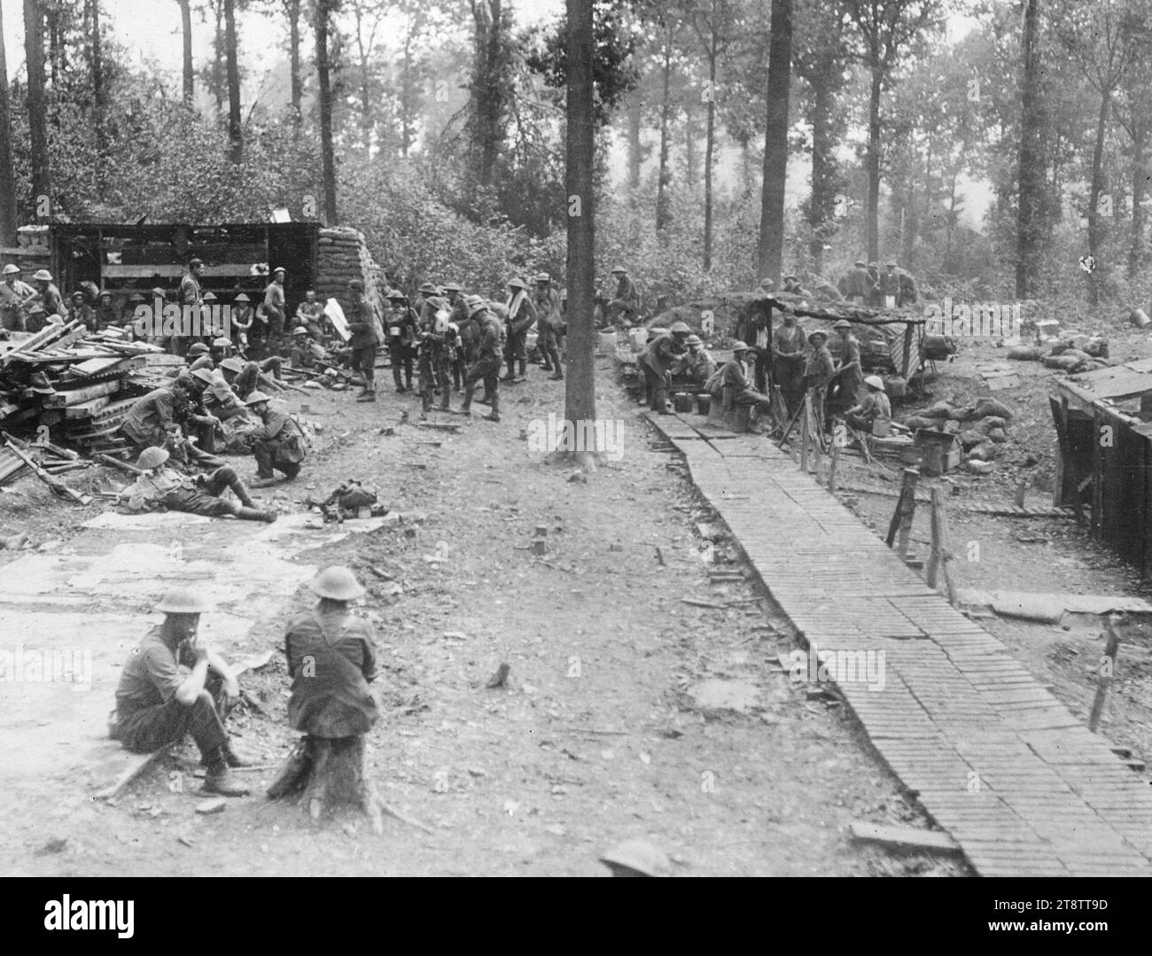 Soldati neozelandesi bivacco a Ploegsteert Wood, Belgio, soldati neozelandesi bivacco a Ploegsteert Wood, Belgio. Foto scattata durante la prima guerra mondiale Foto Stock