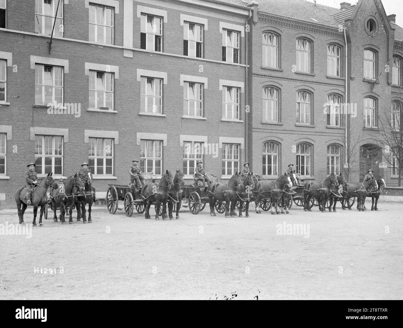 New Zealand Divisional Headquarters trasporto di cavalli, Leverkusen, Germania, il trasporto di cavalli della nuova Zelanda Division si allineò all'esterno dell'edificio del quartier generale a Leverkusen durante l'occupazione della Germania dopo la prima guerra mondiale Fotografia scattata nel gennaio 1919 Foto Stock