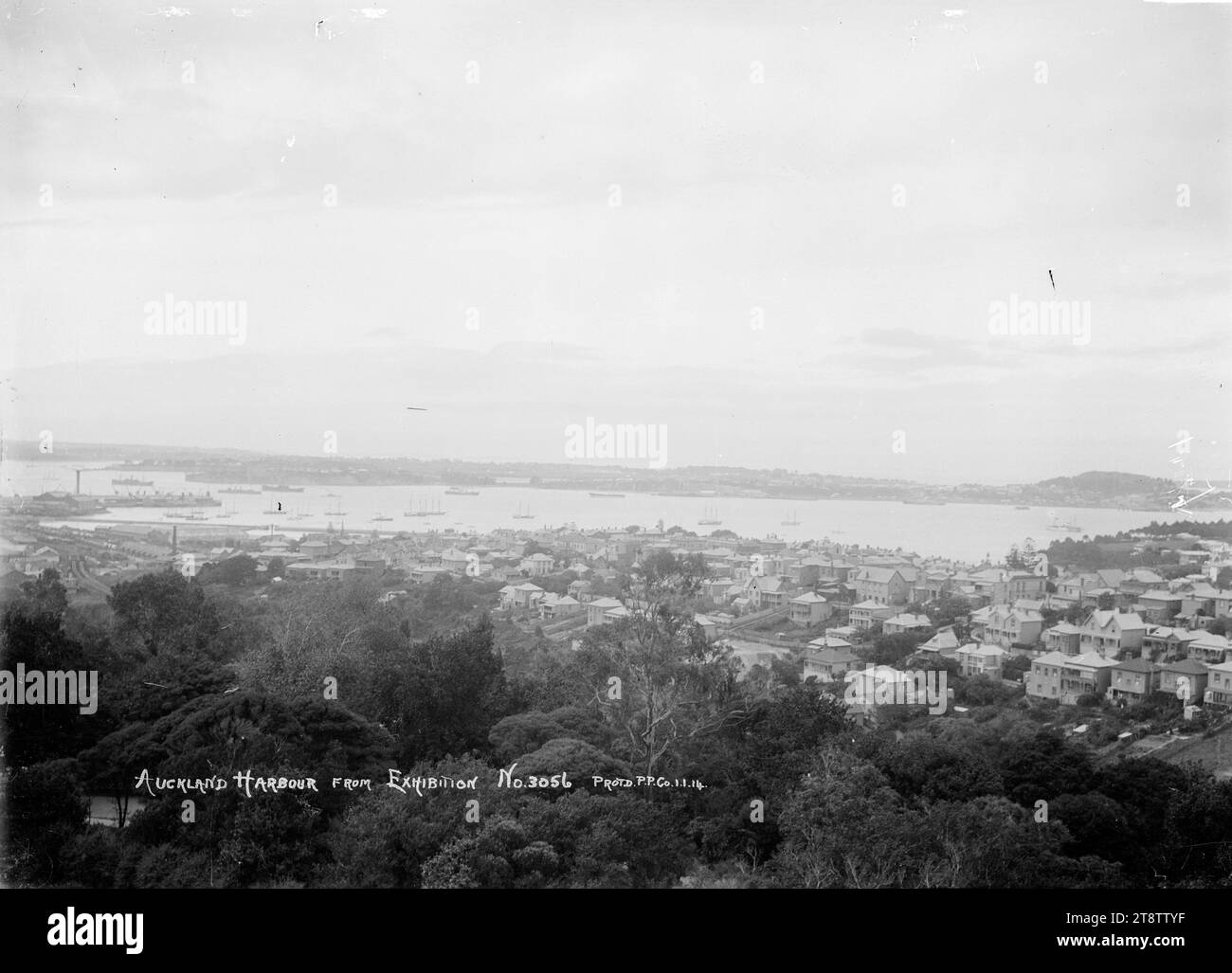 Waitemata Harbour from Auckland, New Zealand Domain, View Take from the Auckland, New Zealand Domain, sito dell'Auckland, New Zealand Exhibition (1913-1914). Le case di Parnell sono visibili in primo piano. Mount Victoria, Devonport e Northcote possono essere visti attraverso il Porto di Waitemata. Sul lato sinistro si trovano i moli di Auckland, nuova Zelanda e l'area esterna della città. P, 1914 Foto Stock