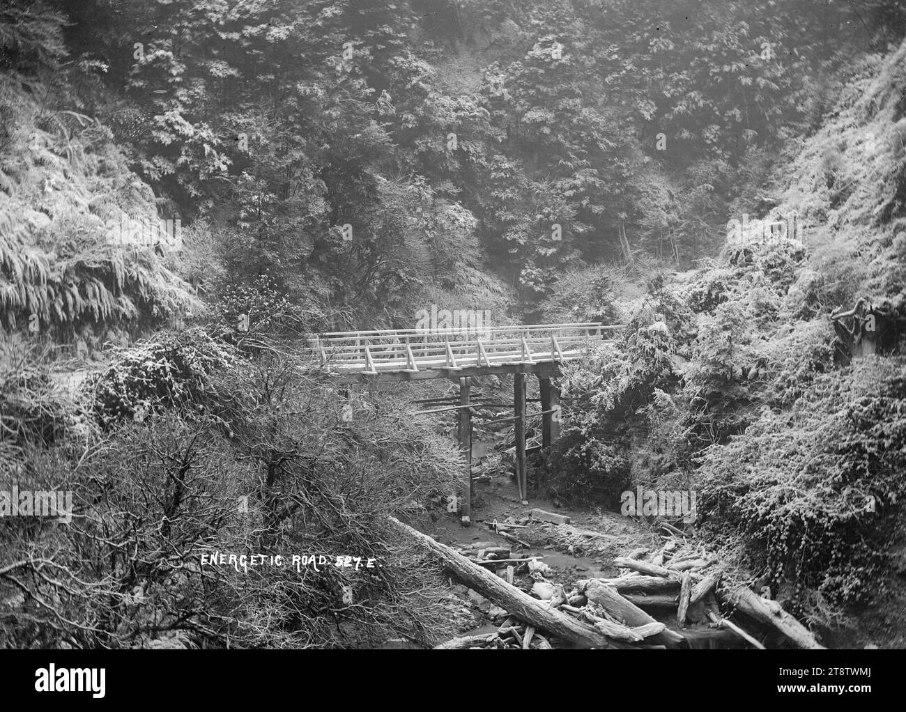 Vista di Energic Road, vicino a Inangahua, Vista di Energic Road, che probabilmente porta all'Energic Mine vicino a Inangahua e Reefton. Un ponte attraversa un flusso ristretto al centro dell'immagine Foto Stock