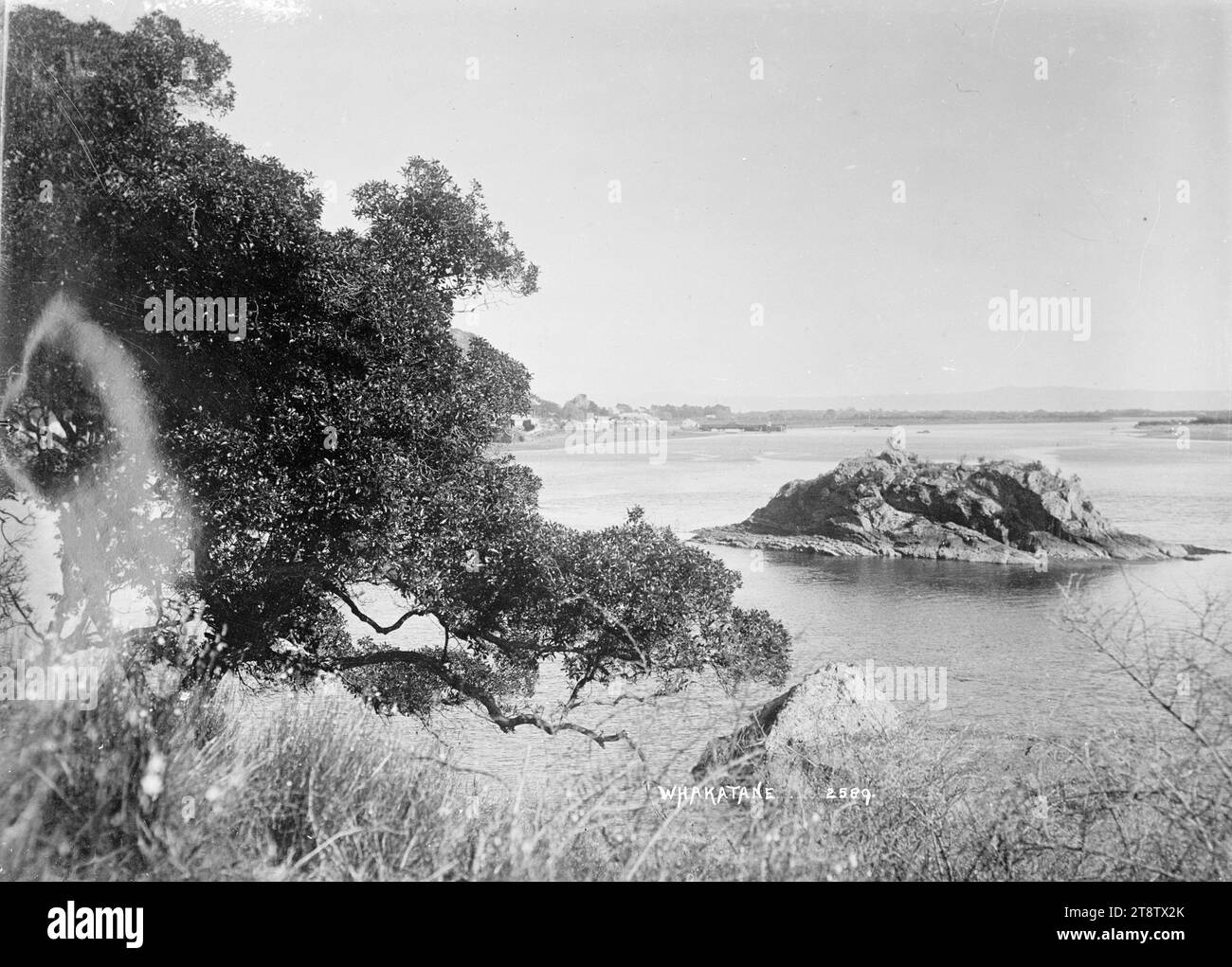Whakatane Township, Whakatane Township e colline rocciose dietro, fotografate intorno agli anni '1910 Guarda su cumuli di legname su una costa, verso la città. I cartelli sugli edifici pubblicizzano: Alimentari, M Ramson e la Union Bank of Australia Foto Stock