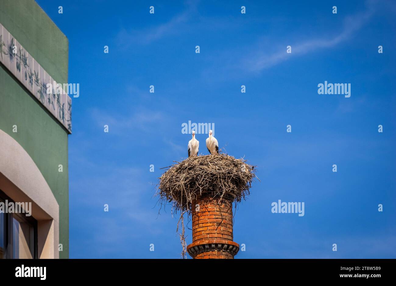 Zona della città vecchia di Portimao nel distretto di Faro dell'Algarve in Portogallo Foto Stock