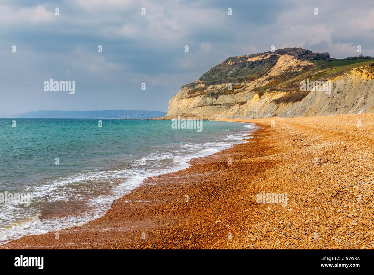 Golden Cap lungo la spiaggia di ciottoli a Seatown, Dorset, Inghilterra Foto Stock