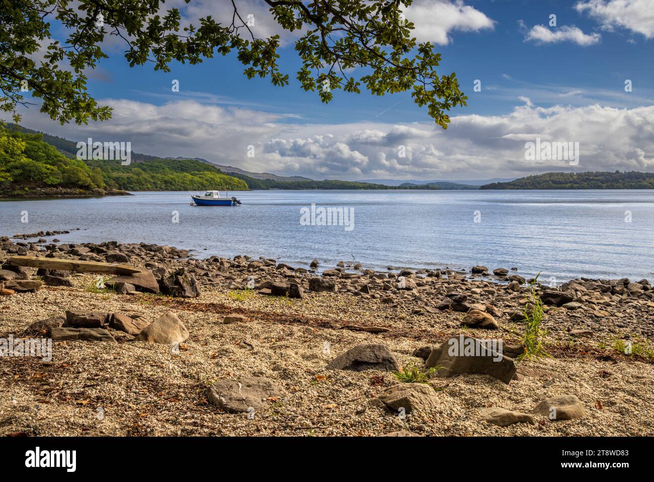 A sud verso le isole di Loch Lomond, Stirlingshire, Scozia Foto Stock